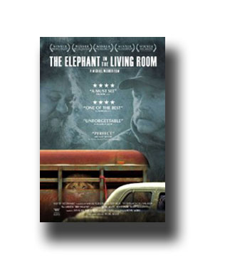 Elephant In The Room